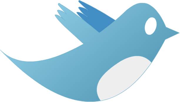 How to Use Twitter as an Effective Social Media Tool