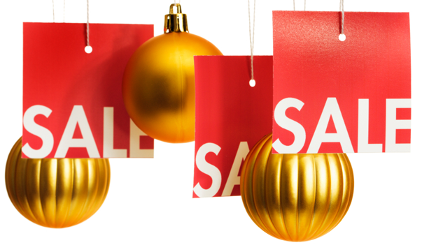 Tis’ the Season for Great Deals on Internet Business Products!